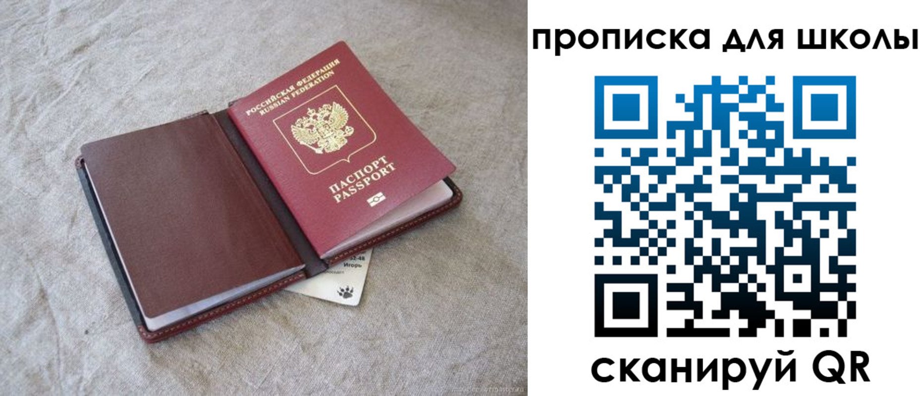 прописка штамп в Приморском крае